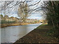 The Bradley arm of the Birmingham Canal Navigations