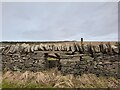 ND0566 : Sheep Creep at Lythmore by David Bremner