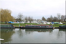 TL5479 : View of Ely Marina from the path by the River Great Ouse by Robert Lamb
