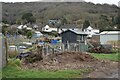 Allotments at Cheddar