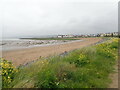 Sandy foreshore at Machynys