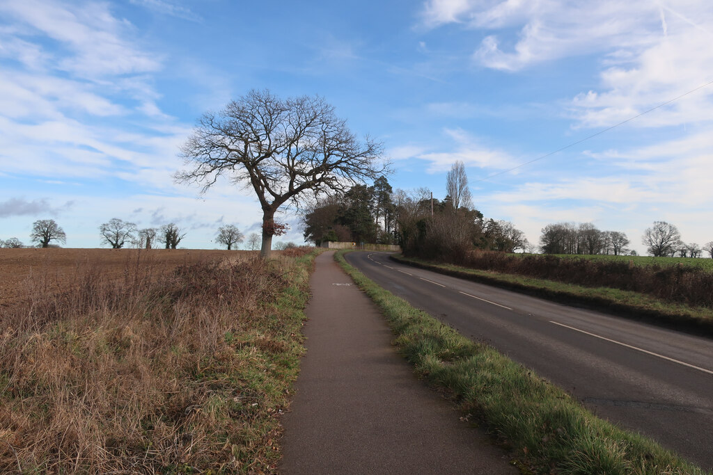 the cyclepath