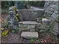 Stone Stile, Woolaston Common