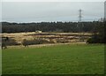 Wetland and pylon