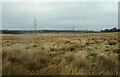 Rough grassland and pylons