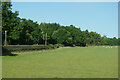 Green Field alongside Old Rufford Road