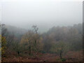 SJ5054 : View from Bickerton Hill on a Murky Day by Jeff Buck