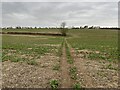 SU5846 : Path across a field by Mr Ignavy