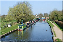 SJ8512 : Shropshire Union Canal near Wheaton Aston in Staffordshire by Roger  D Kidd
