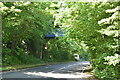 Danewood Footbridge, Port Lympne Zoo