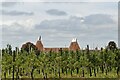 The Oast Paddock