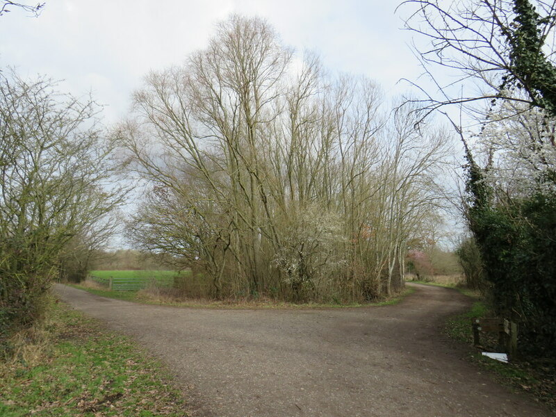 thames-down-link-near-chessington-malc-mcdonald-geograph-britain