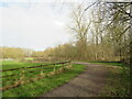 Public bridleway near Epsom