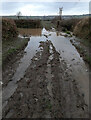 SS5233 : A waterlogged footpath leading to the Tarka Trail by Roger A Smith