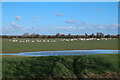 TL4669 : Whooper Swans by Cottenham Lode by Hugh Venables