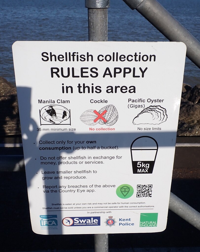 Sheppey Shellfish Collection Rules Rob Farrow Geograph Britain And Ireland