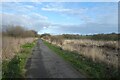 Path east of a rail bridge