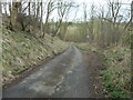 SE8460 : The road between Fridaythorpe and Thixendale by Christine Johnstone