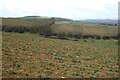 Farmland on northern slopes of Ebrington Hill