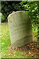 SU5094 : The grave of Eric Arthur Blair in All Saint's churchyard by Steve Daniels