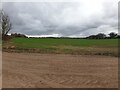 Farmland off Hunton Down Lane