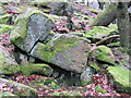 Carved Head, Knotts Wood