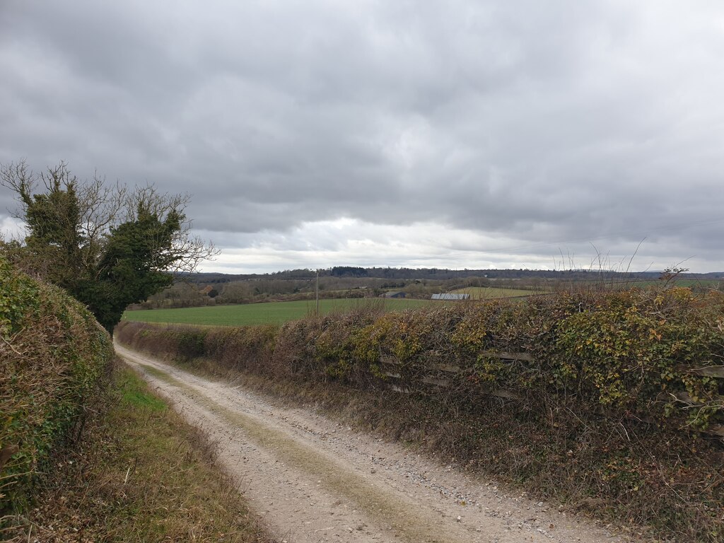 Over The Hedgerow © Oscar Taylor Geograph Britain And Ireland 2387