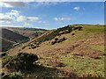 SO4697 : Gogbatch valley on the Long Mynd by Mat Fascione