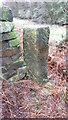 Old Boundary Marker near Aysdale Gate Farmhouse