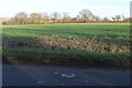 Field by Little Staughton Road, Church End