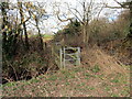 Pompren  dros nant fach / A footbridge spanning a small stream