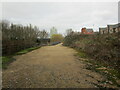 By the River Soar, Wolsey Island, Leicester