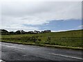 HY3922 : Houses and grassland near the A966 by David Medcalf