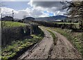 Track at Haseland Farm