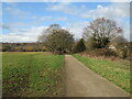 Bridleway on Ashtead Common