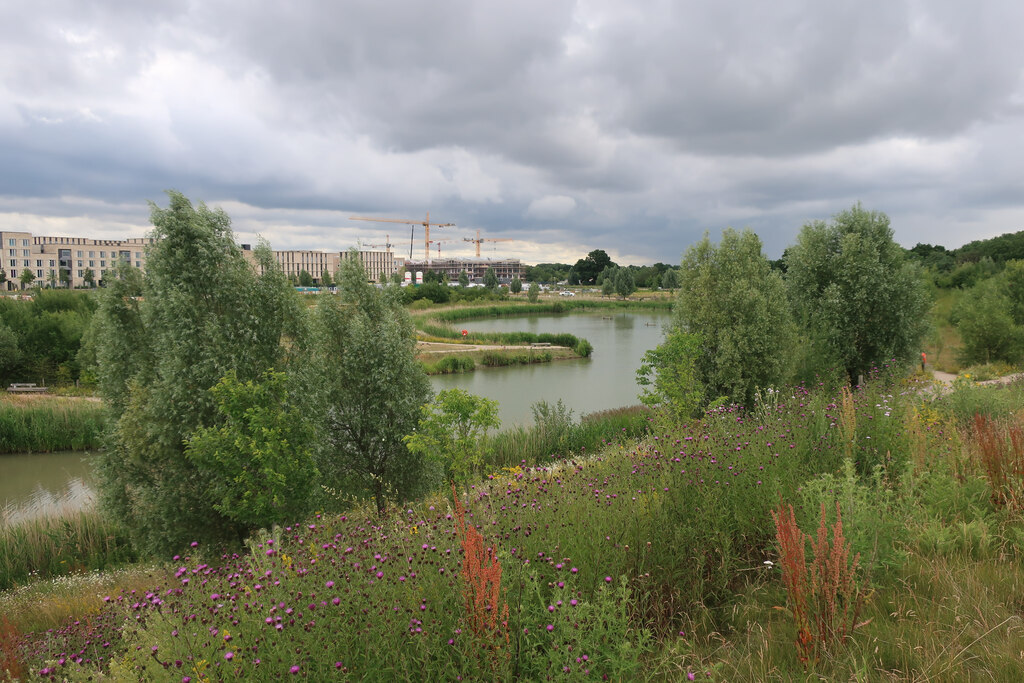 Brook Leys, Eddington © Hugh Venables :: Geograph Britain and Ireland