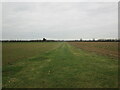 Grass track to the A17