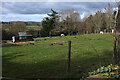 Sheep pasture, Charlbury