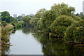 River Tame east of Fazeley in Staffordshire