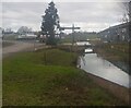 Stream by Island way, Tewkesbury