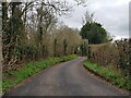 Windy minor road near Powers Farm, Holt Fleet