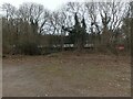 Chicken farm through trees