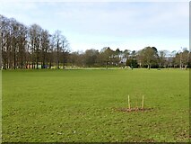 NT2770 : Cricket pitch, Inch Park by Richard Webb