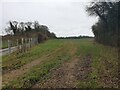 Field off Apsley Lane