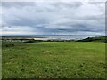 View to Carmarthen Bay from Llansaint