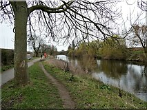 SE5952 : The River Ouse near St Peter's School sports grounds by Neil Theasby
