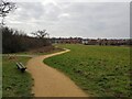 Path within Ashridge Meadows