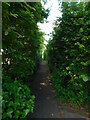 Path down to sports courts, Heath Lane