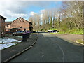 Buttery Grove in the Wombridge area of Telford