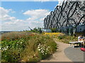 Library of Birmingham Secret Garden